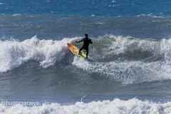 surf1